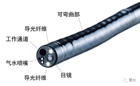 软管式内窥镜的结构图