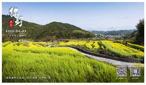 庆元特色日历（2022年4月3日）｜春田遍野泛金浪·淤上蒲潭 庆元网