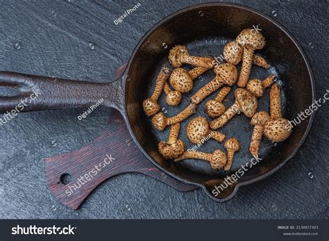Honey Fungus Edible Mushrooms Delicious Healthy Stock Photo 2138977303
