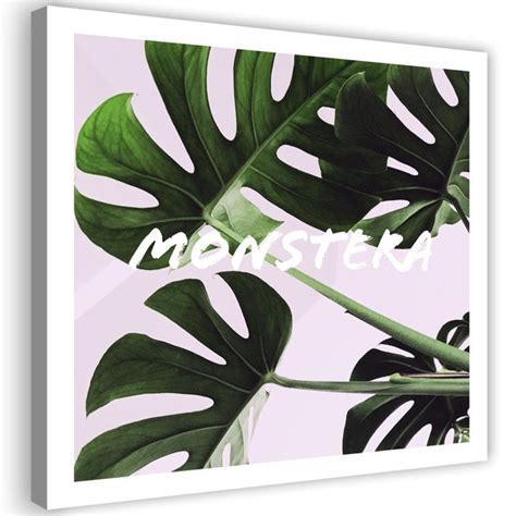 Sansibar Home Leinwandbild Monstera Exotic Leaves Wayfair De