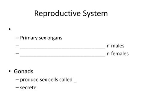 Reproductive System Gonads Primary Sex Organs Ppt Download