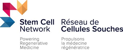 Canadas Stem Cell Network Launches A New Strategic Plan And Refreshed