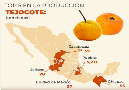 El Estado De Puebla Es El L Der En La Producci N De Tejocote A Nivel