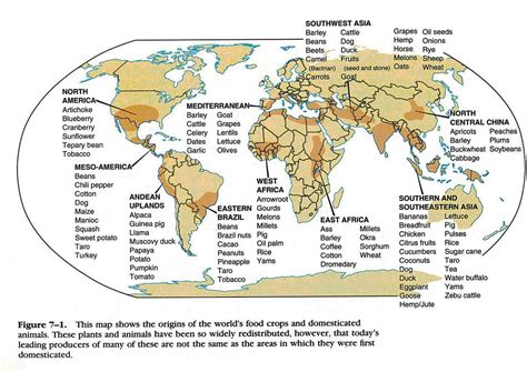 Ap World History Map | Unbeliefe Facts