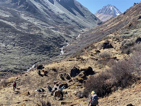 Trekking in Bhutan to gangkhar puensum — MyFitnessPal.com