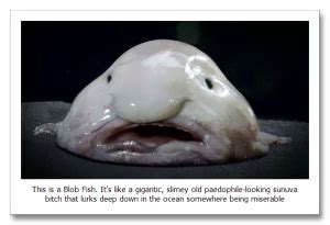 Blob-Fish.png - Them's Fightin' Words Them's Fightin' Words