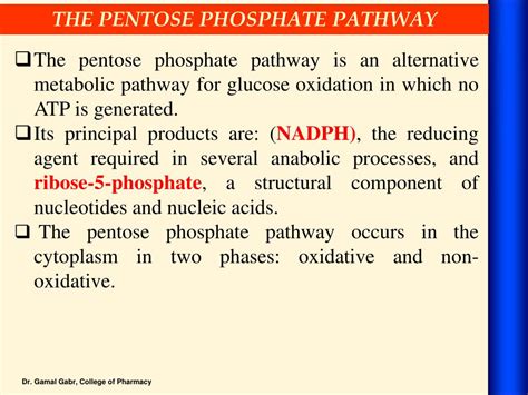 Ppt The Pentose Phosphate Pathway Powerpoint Presentation Free