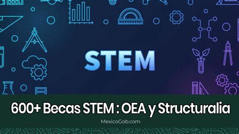 La Oea Y Structuralia Entregarán Más De 600 Becas En México Para