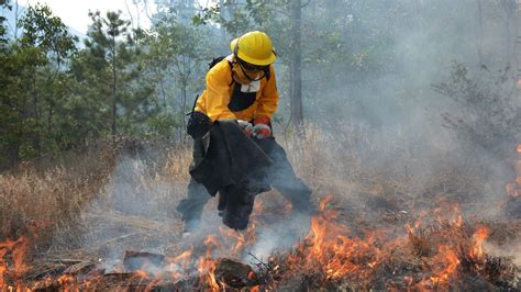 Aumentan Se Registran 69 Incendios Forestales Activos En 21 Estados