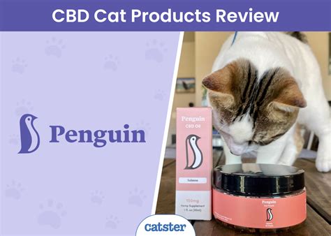 Penguin CBD Cat Supplement Review 2025 A Detailed Look Catster