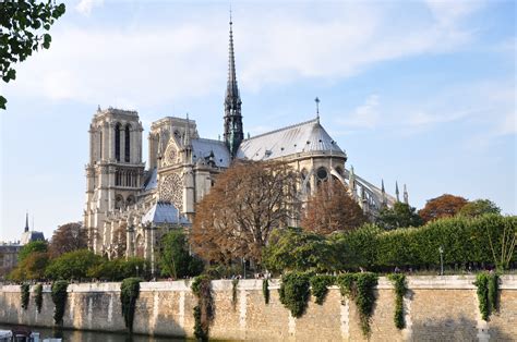 Oak Trees That Witnessed The French Revolution Will Form Notre Dame S