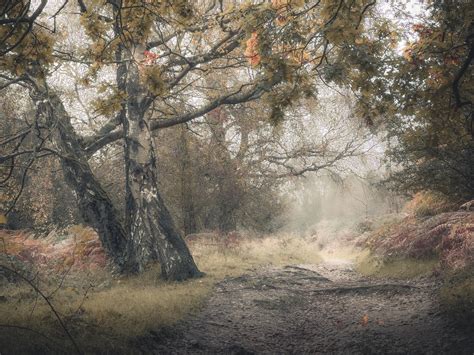Desaturated Colours In Colour General Photo Contest Photocrowd