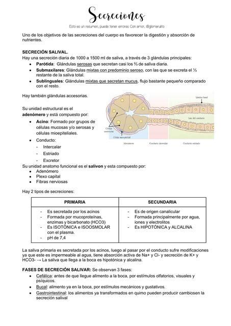 Secrecion Salival Gastrica Y Pancreatica Glomerulito Udocz