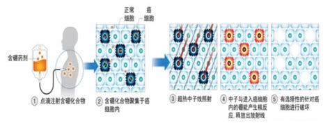 30分钟清除癌细胞！国产抗癌硼药何方神圣？腾讯新闻