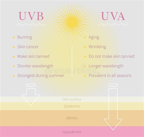 UVB and UVA Ultraviolet Rays Difference. Inforgaphics about Sun Rays ...