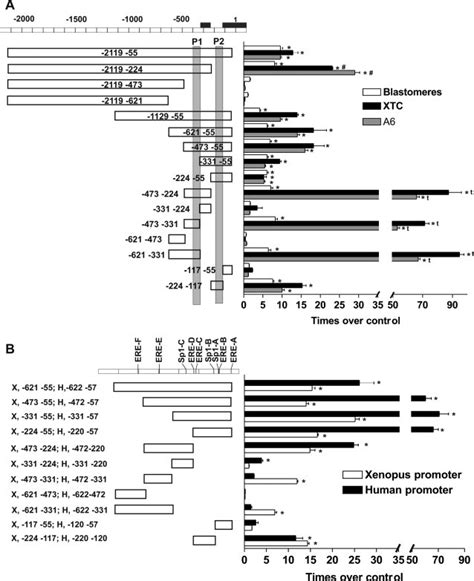 Identification Of Two Functional Promoters In The Xenopus Hpa Gene A