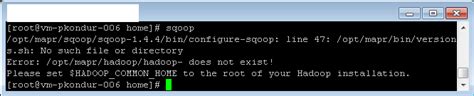 Hadoop MapR How To Install Sqoop On A Client Edge Node Stack