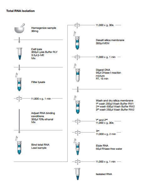 Isolate Ii Rna Mini Kit Marca Bioline