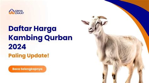 Daftar Harga Kambing Qurban 2024 Paling Update Griya Zakat