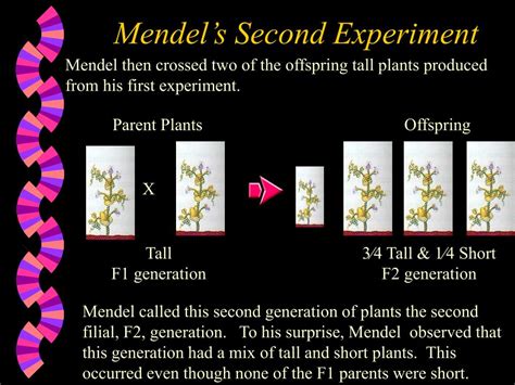 Ppt Gregor Mendel Powerpoint Presentation Free Download Id149511