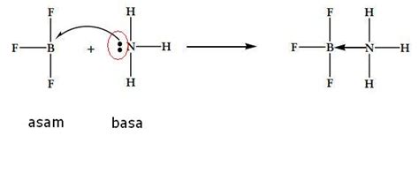Detail Contoh Asam Basa Menurut Lewis Koleksi Nomer