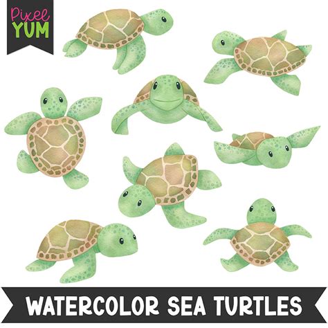 Watercolor Sea Turtles Clipart Commercial Use OK Made By Teachers