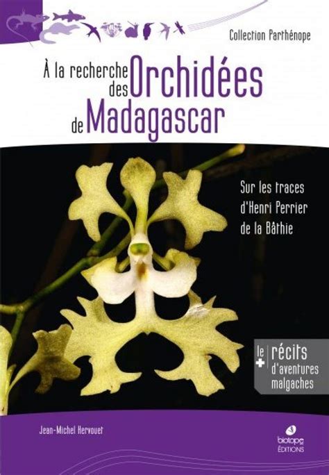 À la Recherche des Orchidées de Madagascar Sur les Traces d Henri