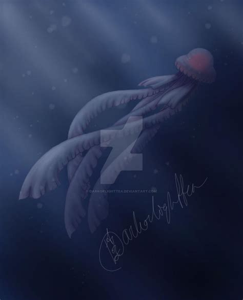 Phantom jellyfish by Darkorlighttea on DeviantArt