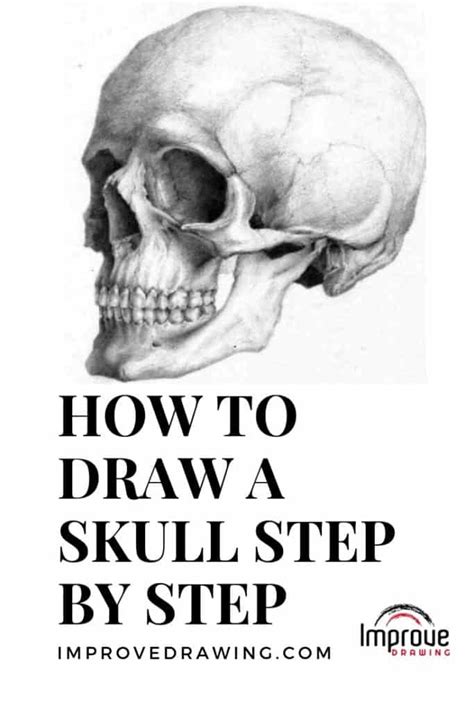 How To Draw A Skull Step By Step