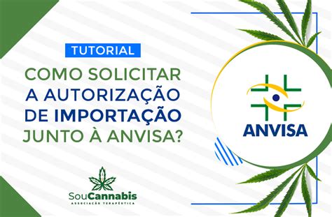 Autoriza O Da Anvisa Para Uso De Cannabis Soucannabis