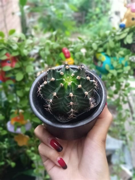 Review รวว Infinix HOT PRO สมารทโฟนราคาประหยดไมถง แบตอด สเปคจดเตมครบครน