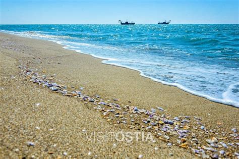 Discovering Ostia Beach A Hidden Gem Near Rome Italy Travel Tales