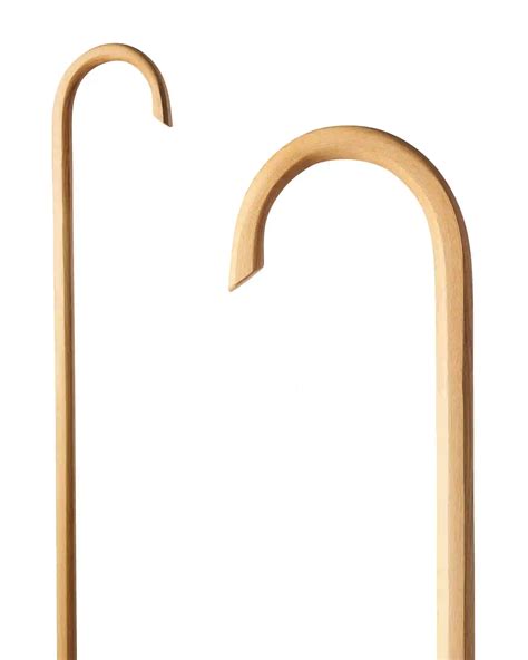 Cane masters training helps seniors stay safe and active daily 12