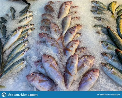 Colorido Pescado Congelado En Hielo En El Mercado De Mariscos Imagen De