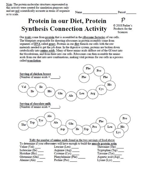 Protein Synthesis Cell Transport And Energy Flow Activity Worksheets Library