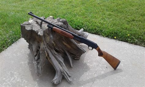 Free Images : shotgun, hunting, stump, renew, outdoors, Mossberg, skeet ...