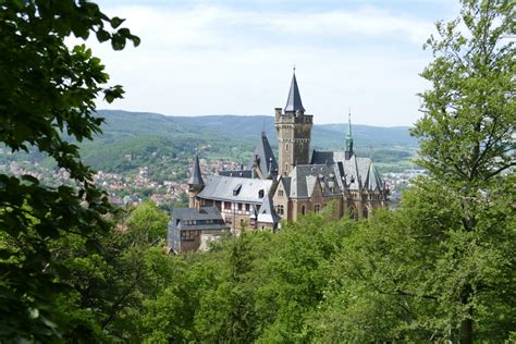 Free Images Nature Forest Building Chateau Park Castle Fortress