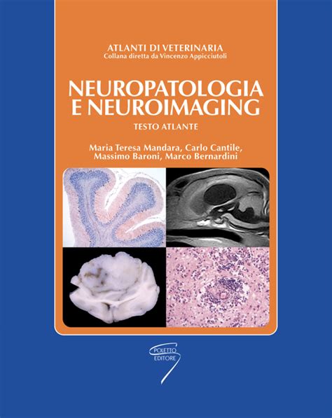 Neuropatologia E Neuroimaging Testo Atlante Poletto Editore Casa