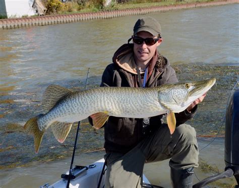 Tiger Muskie Ndow