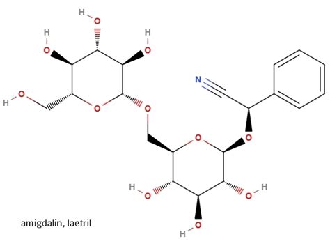 Laetril – Nutricionizam.com