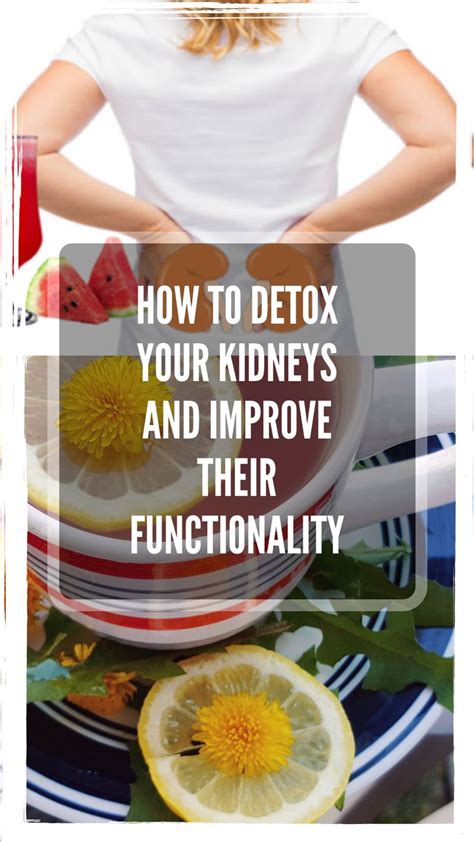 How To Detox Your Kidneys And Improve Their Functionality Health