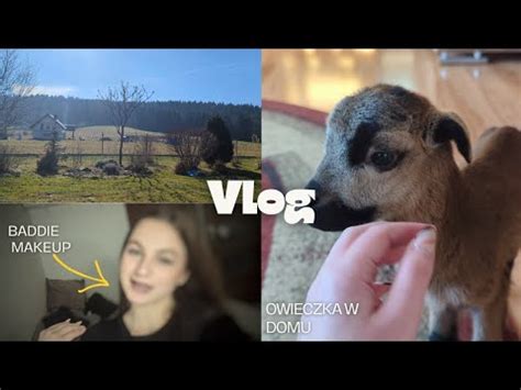 Owieczka Chodzi Po Domu Vlog Youtube