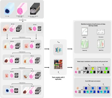 Figure 1 From A Deep Learning Toolkit For Visualization And Interpretation Of Segmented Medical