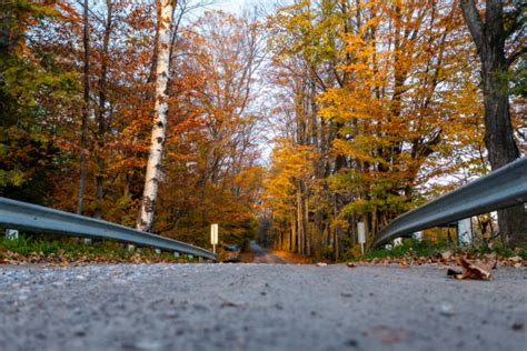 Asphodel Norwood Ontario Zdjęcia I Ilustracje Istock