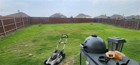 7,000 Sqft yard with hill - Inspiration Help : r/NoLawns