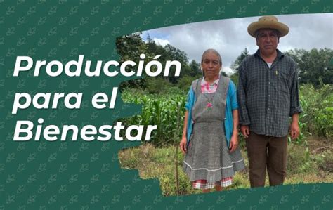 Avances Del Programa Producci N Para El Bienestar Representaci N