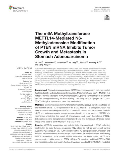 Pdf The M A Methyltransferase Mettl Mediated N Methyladenosine