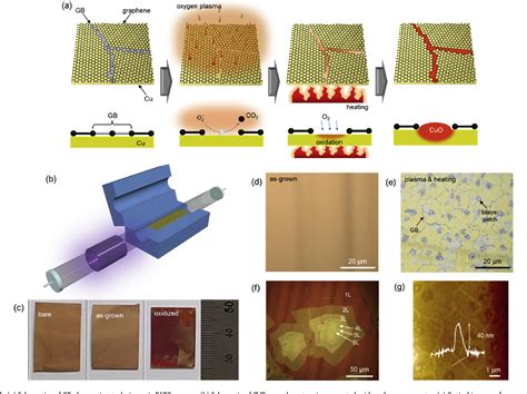 Figure 1 From Direct Observation Of Grain Boundaries In Chemical Vapor Deposited Graphene