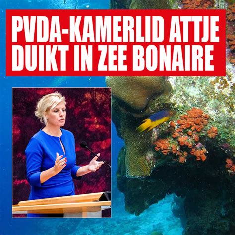 Pvda Kamerlid Attje Kuiken Duikt Ditjes En Datjes