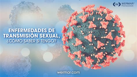 ¿cómo Saber Si Tengo Una Enfermedad De Transmisión Sexual Wermar